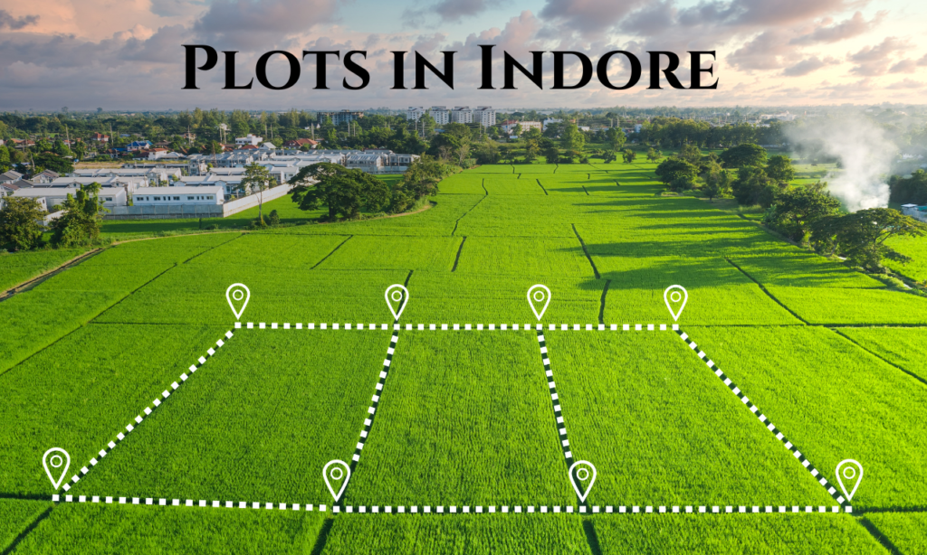 Plot in Indore